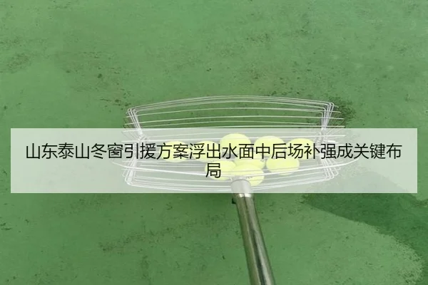 山东泰山冬窗引援方案浮出水面中后场补强成关键布局